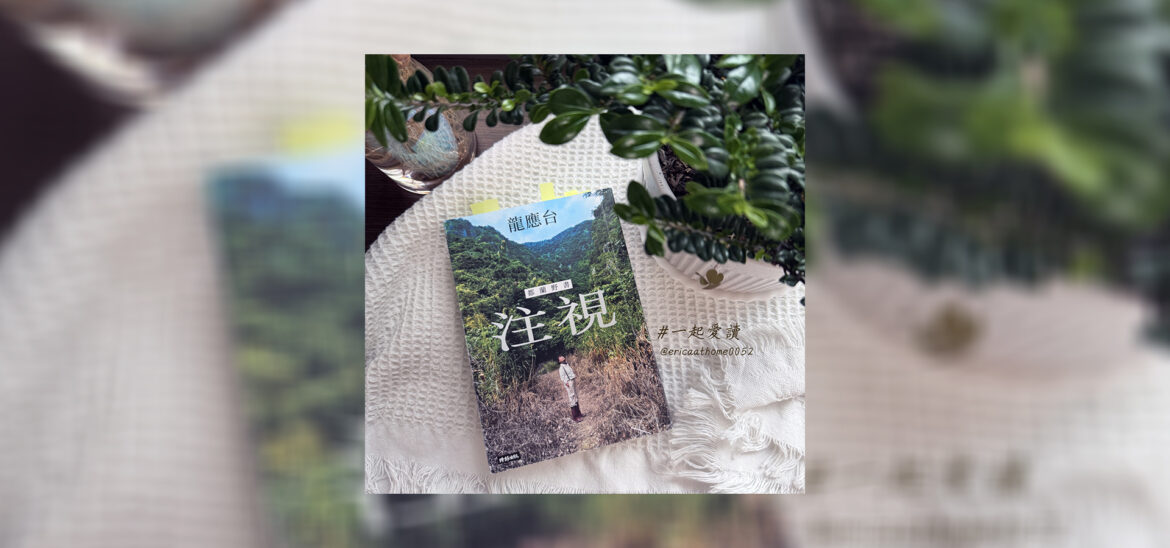 注視封面